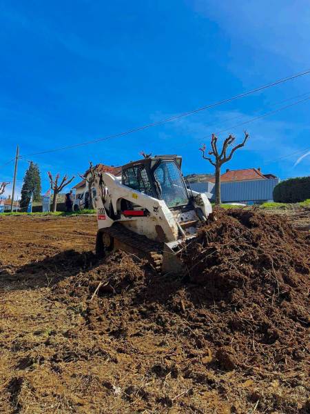 Le défrichage, notre spécialité chez l'entreprise Limon à GRANDFONTAINE dans le 67